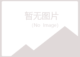 大兴安岭紫山金属有限公司